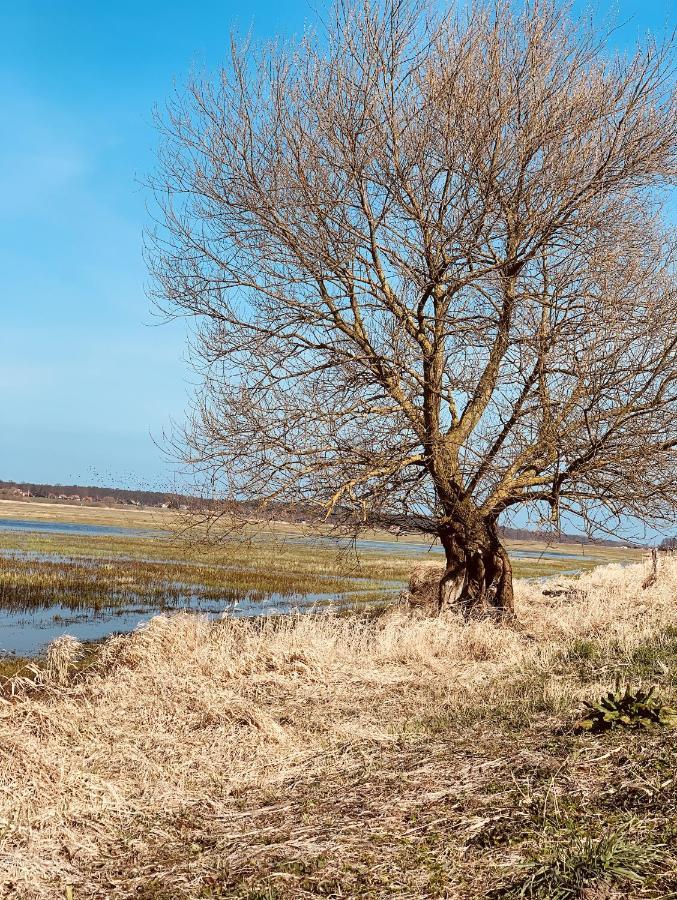 Tilia Authentic Home, Butikowe Apartamenty Nad Morzem Мікошево Екстер'єр фото